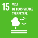 ODS 15 · Vida de ecosistemas terrestres